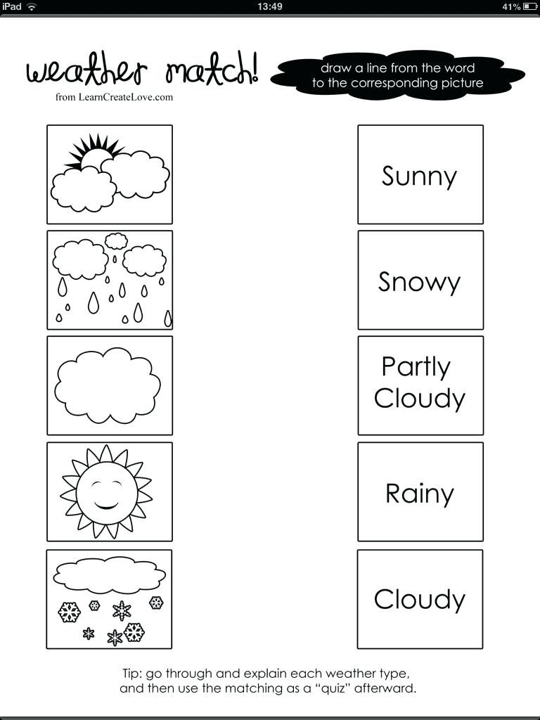 First Grade Science Worksheets Free Printable