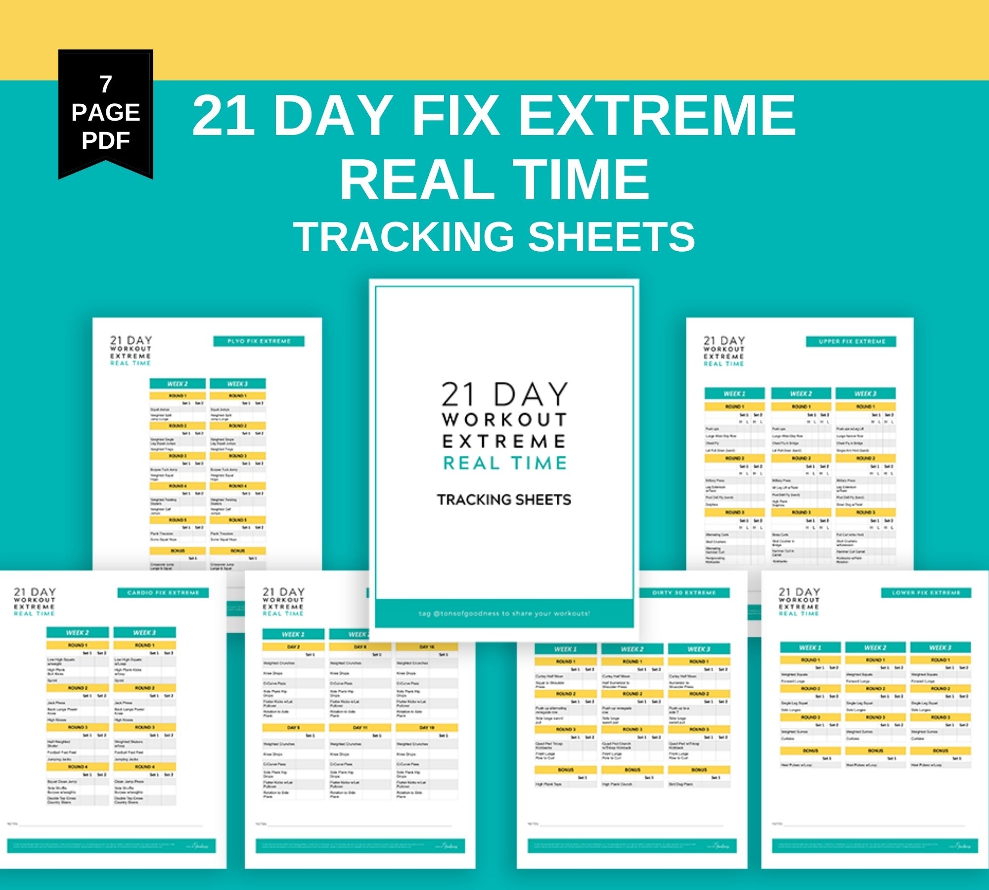 21 Day Fix Printable Worksheets