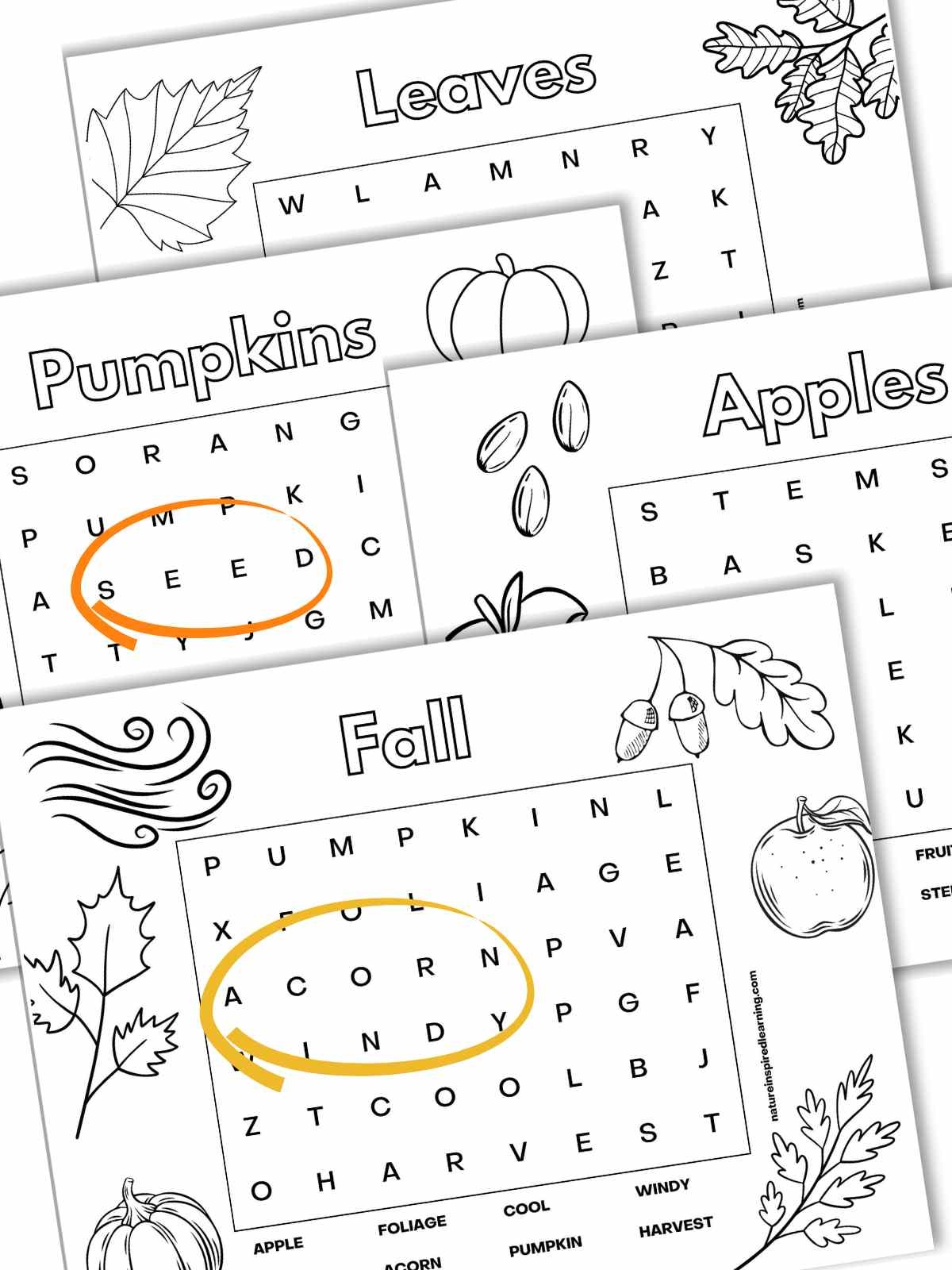 Fall Word Search Printable Worksheets