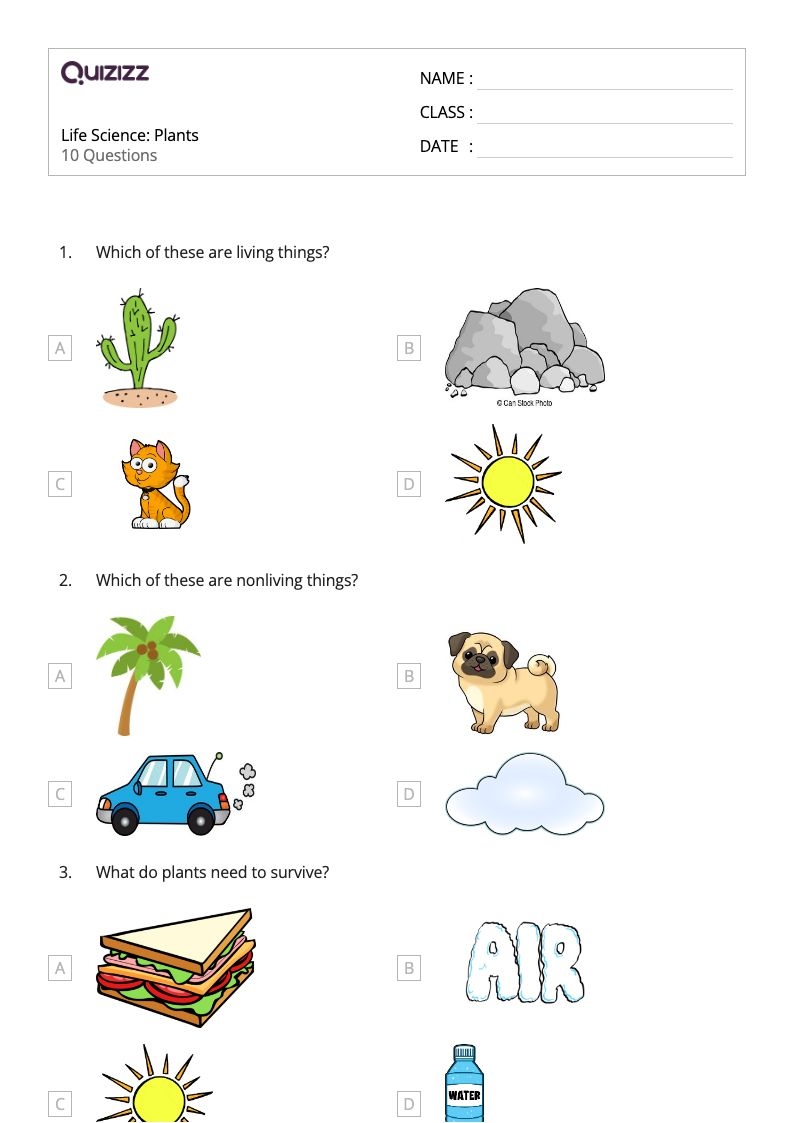 50 Life Science Worksheets For 1st Grade On Quizizz Free Worksheets Library
