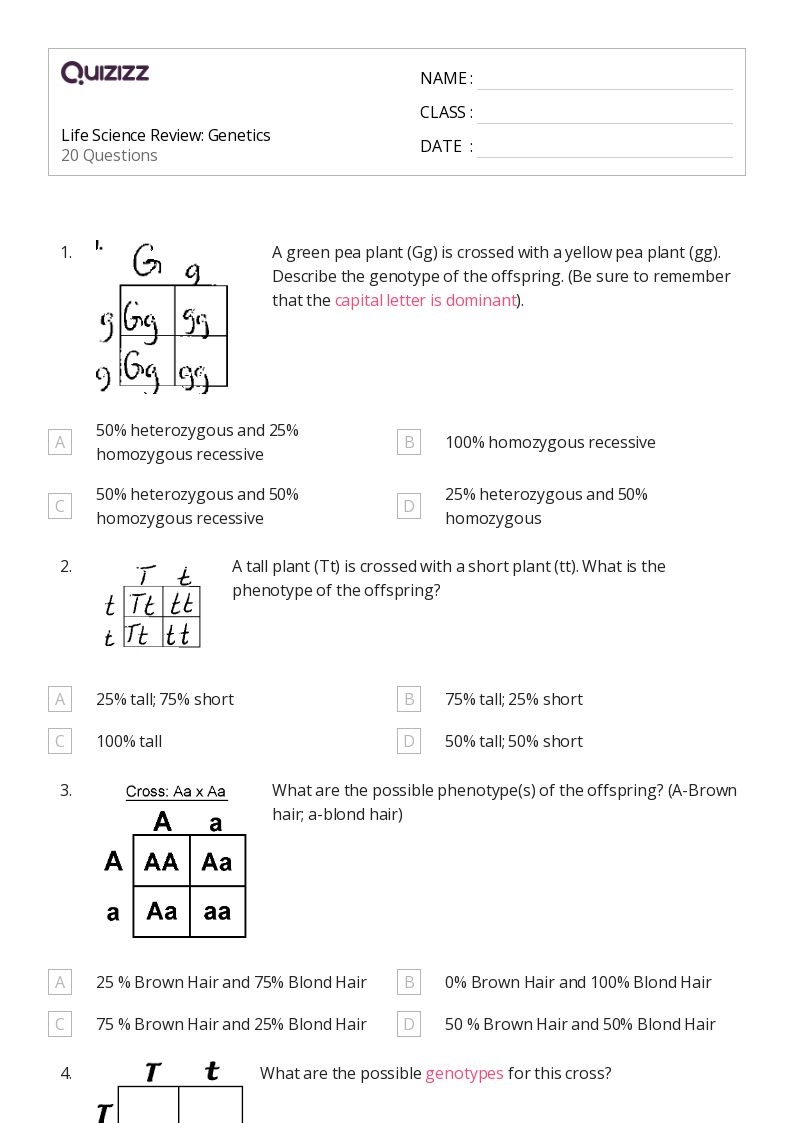 8Th Grade Common Core Science Worksheets Printable