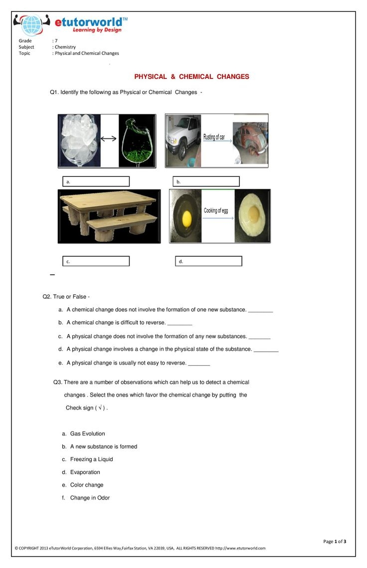 7Th Grade Science Printable Worksheets
