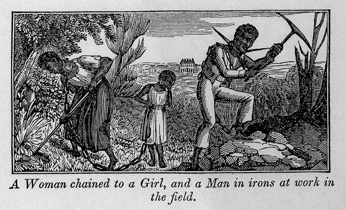 African American History Wikipedia
