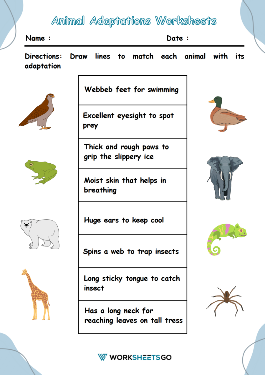 Animal Adaptations Worksheets WorksheetsGO