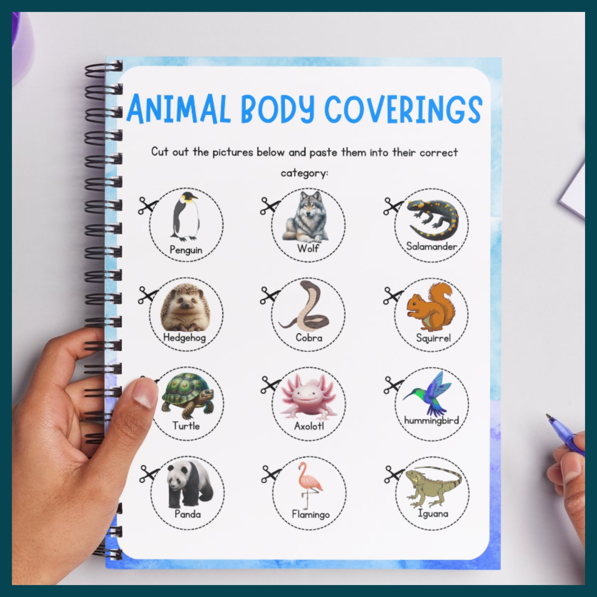 Animal Body Covering Printable Worksheets For Kindergarten