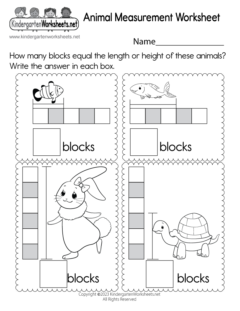 Kindergarten Measurement Worksheets Printable