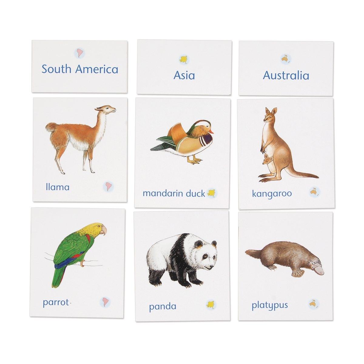 Animals Of Seven Continents Classification Cards With Labels Montessori Services