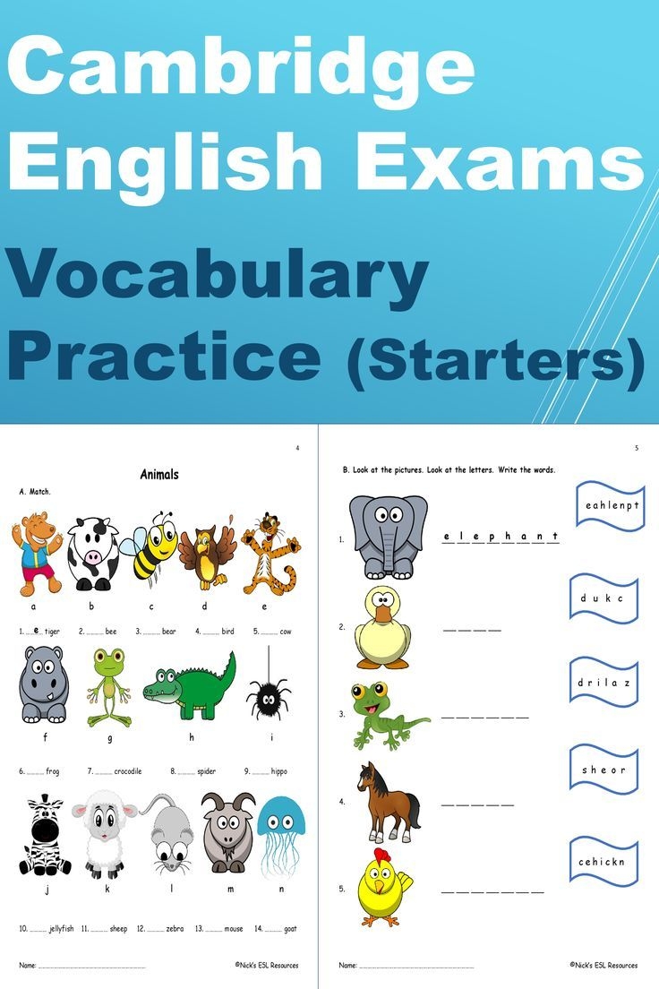 Cambridge English Exam Test Printable Worksheets