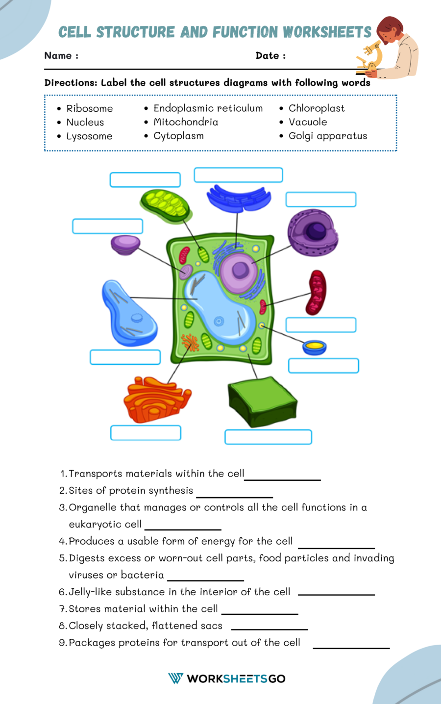 7Th Grade Printable Worksheets Science Cells