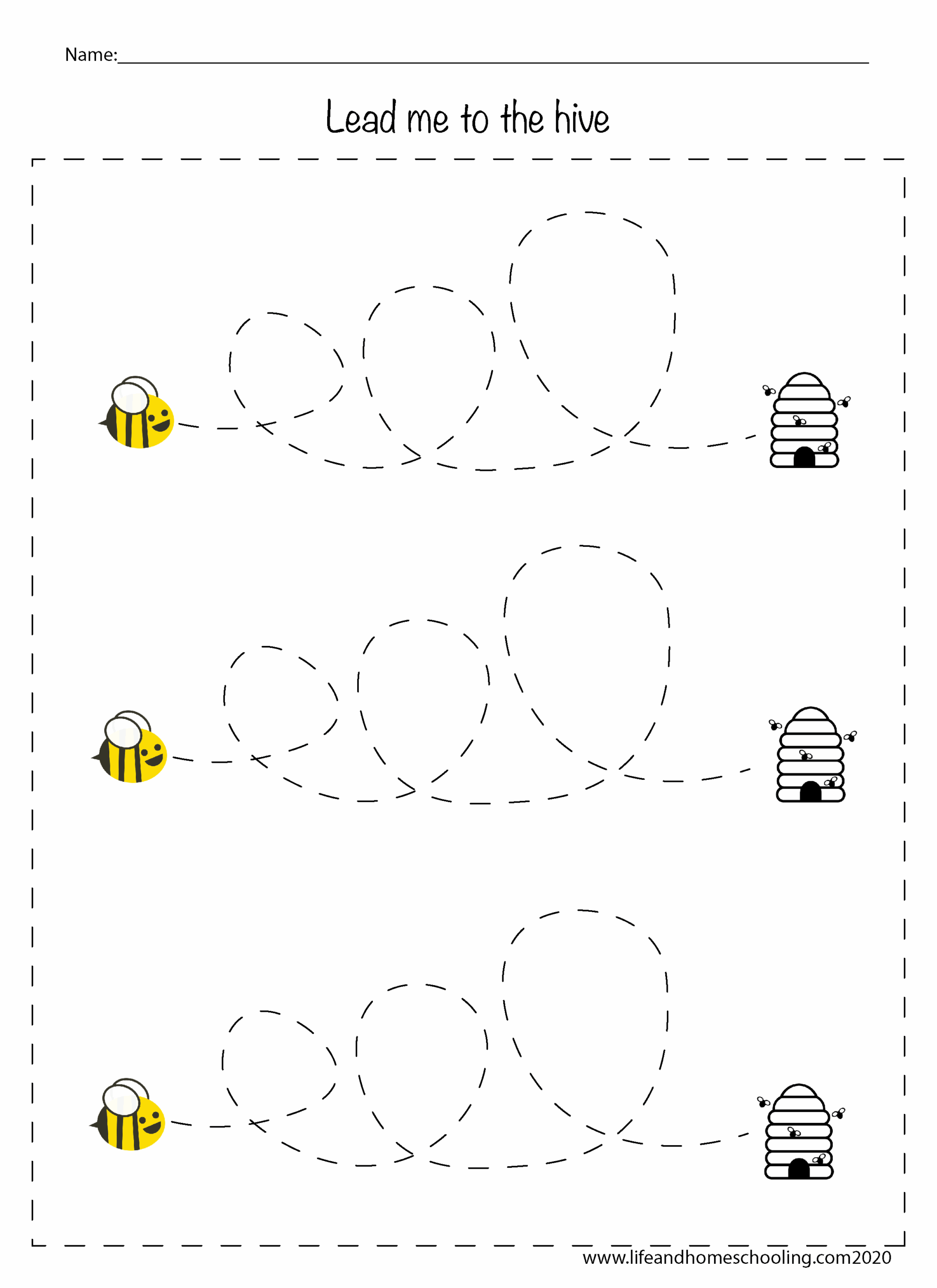 Fine Motor Skills Worksheets And Printable