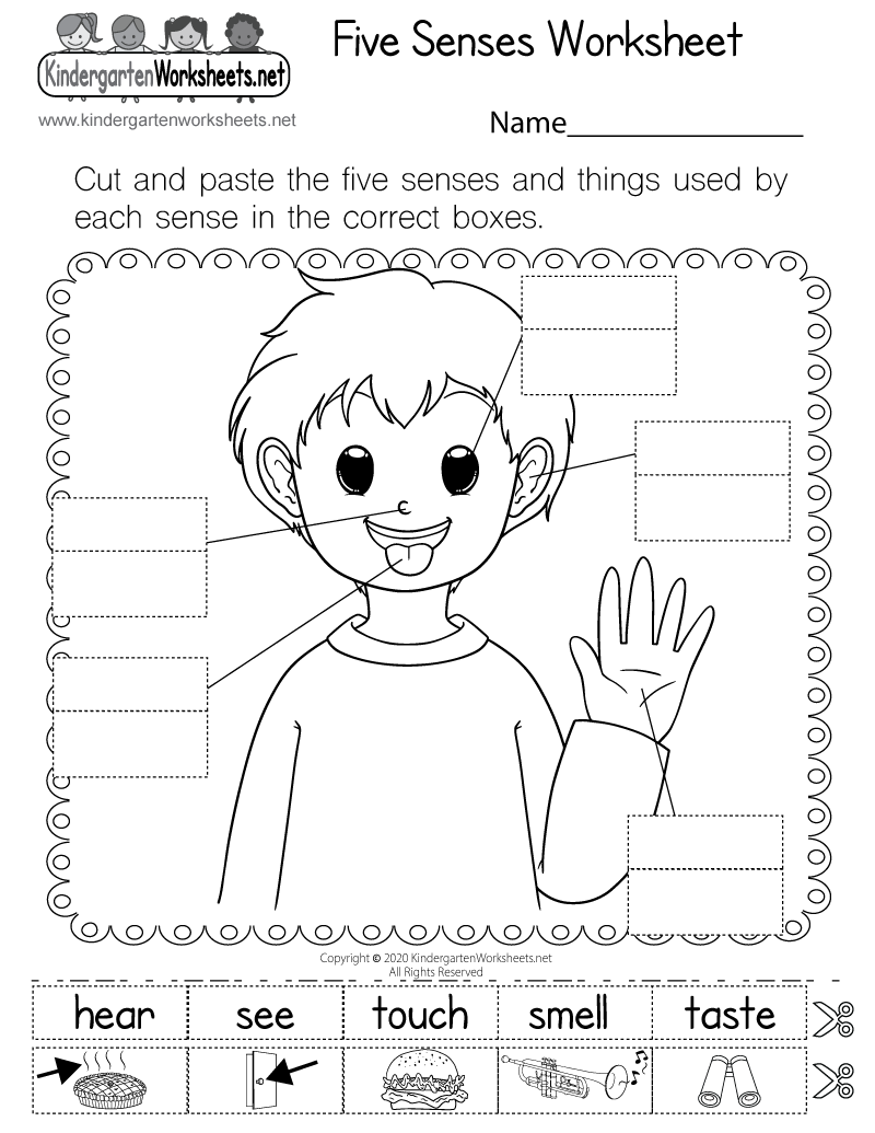 Five Senses Printable Worksheets For Kindergarten