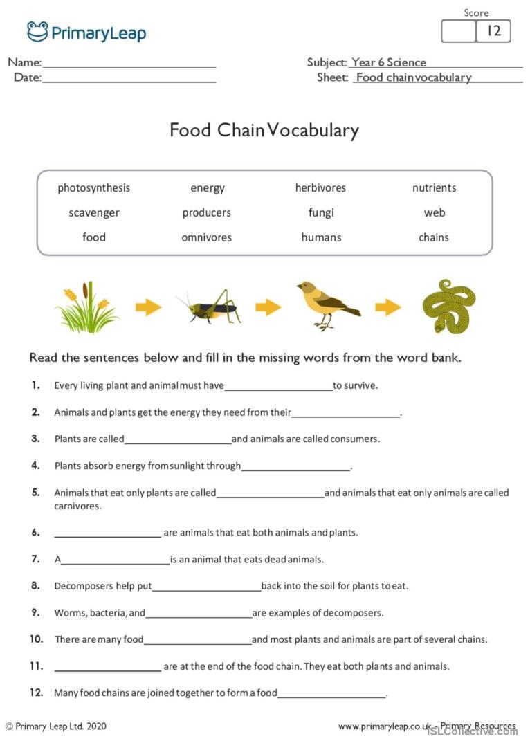 Esl Food Chain Printable Worksheets