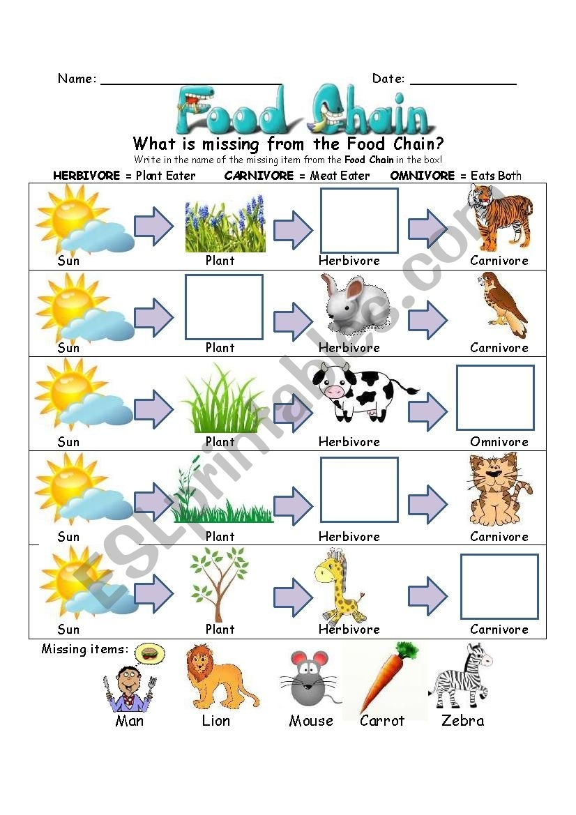 Food Chain Worksheet ESL Worksheet By SlvrWolf