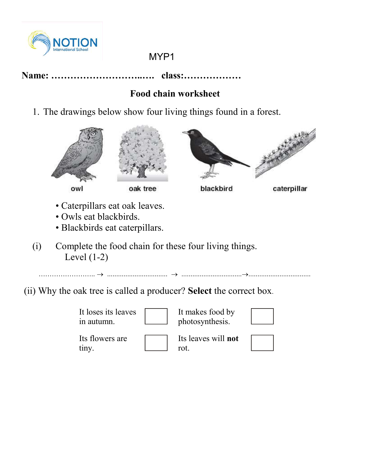 6Th Grade Food Web Printable Worksheets