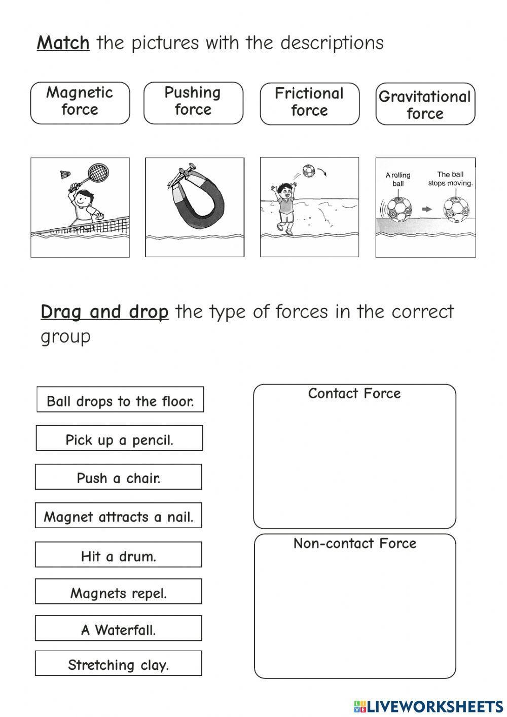 Forces And Motion Printable Worksheets