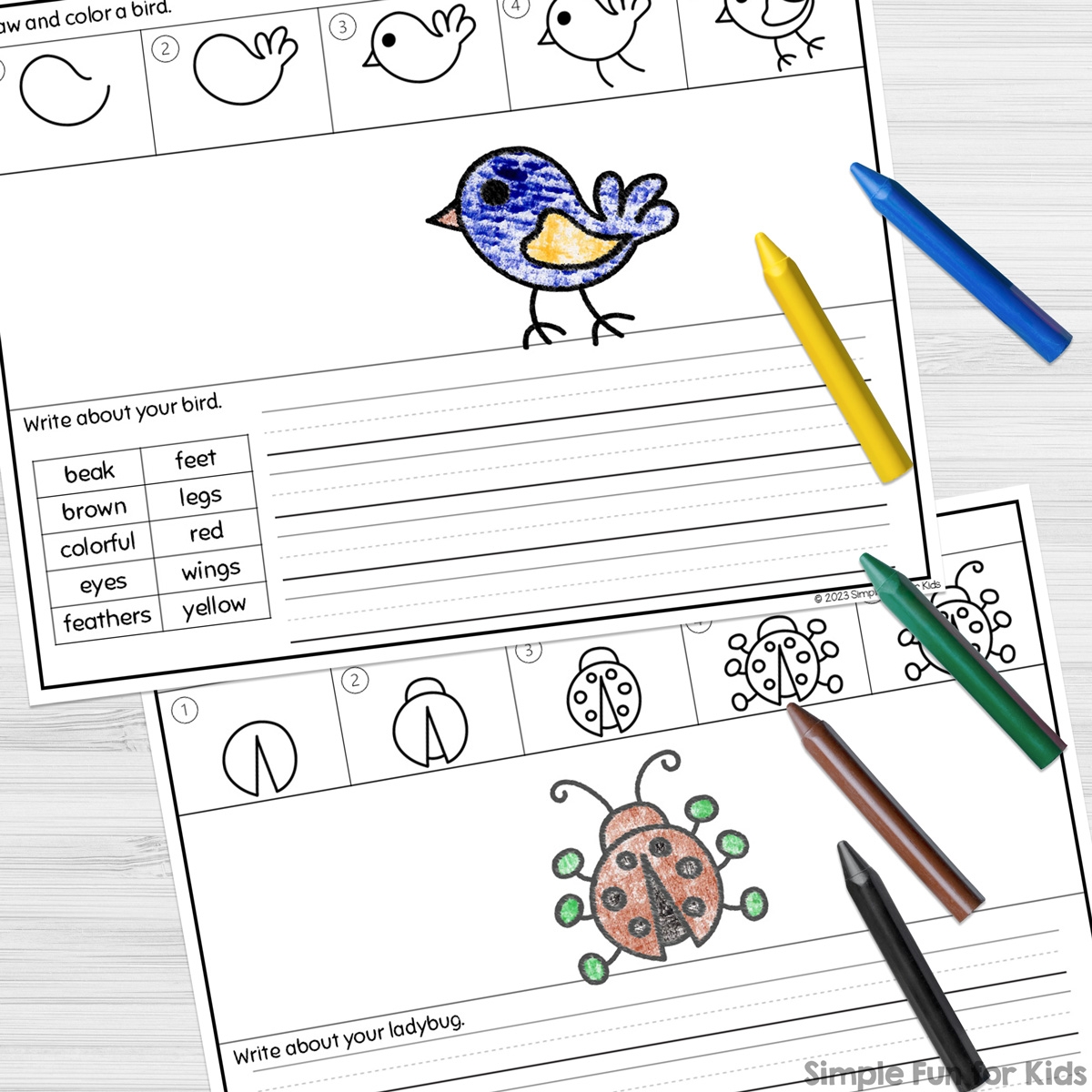 Directed Draw And Write Worksheets Printable