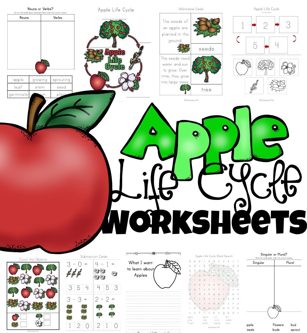 Apple Fruit Handout Apple Printable Worksheets