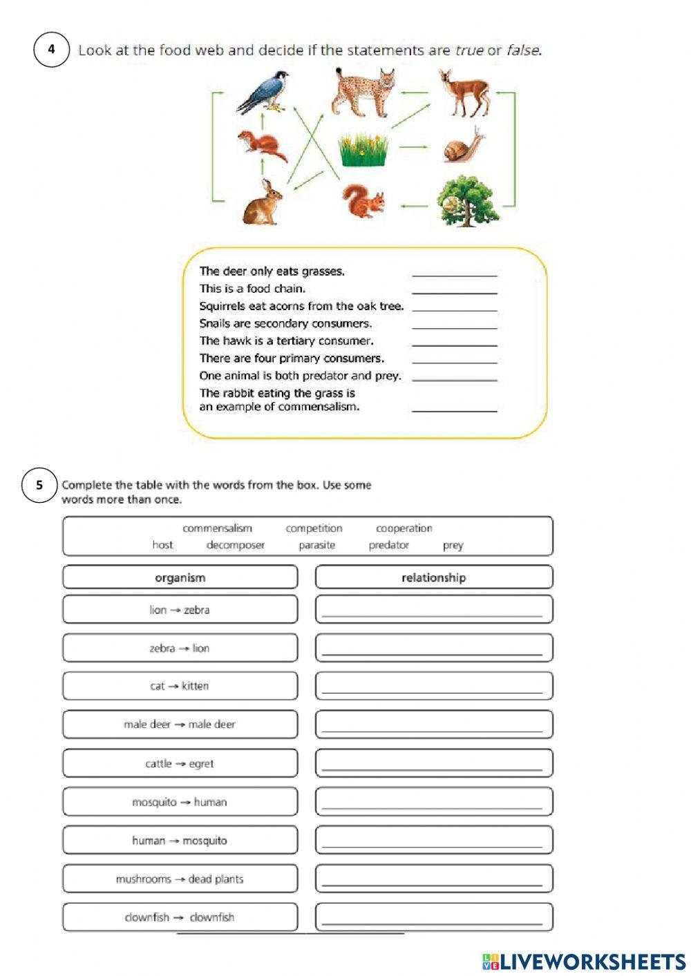 Biosphere Printable Worksheets On Biosphere