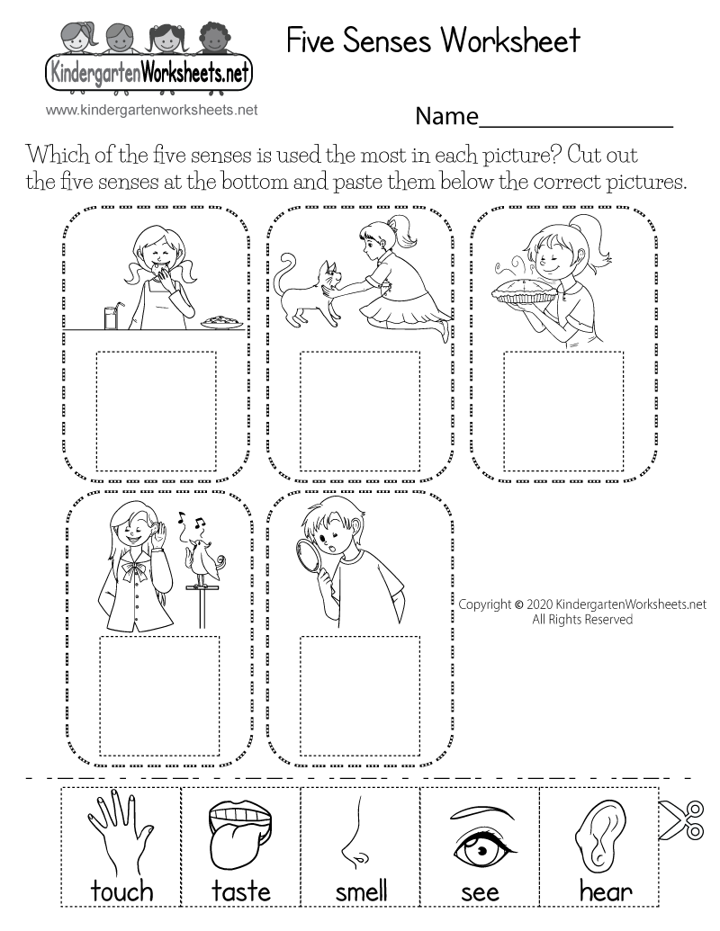 5 Senses Printable Worksheets For Preschoolers