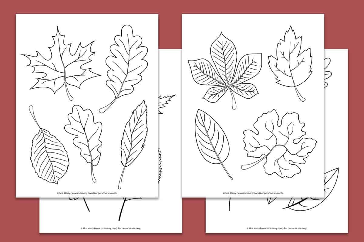 Big Fall Leaves Worksheets Printable