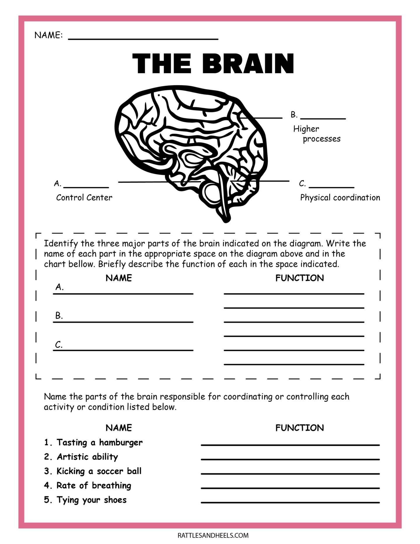 4Th Grade Science Worksheets Printable