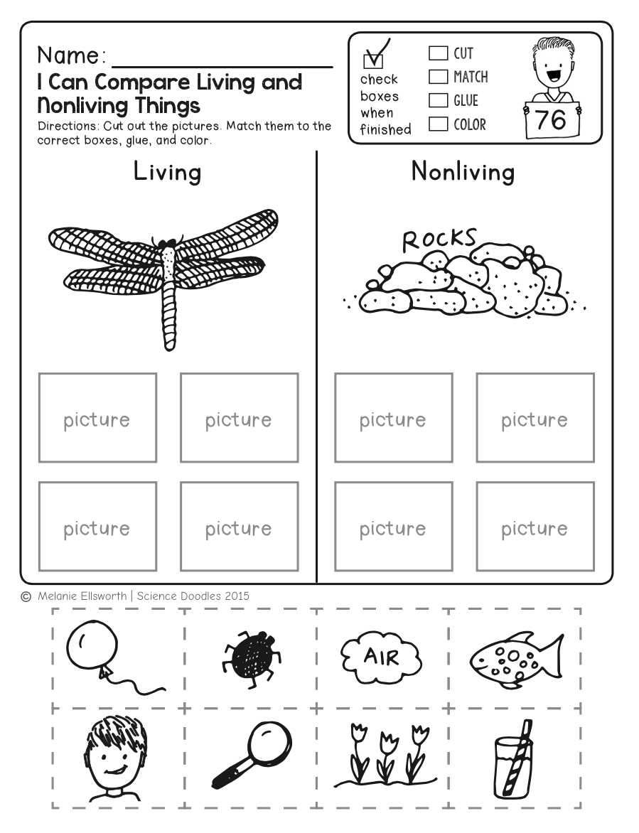 Kindergarten Science Worksheets Printable