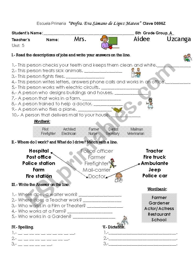 Career Survey For 3Rd Grade Printable Worksheets