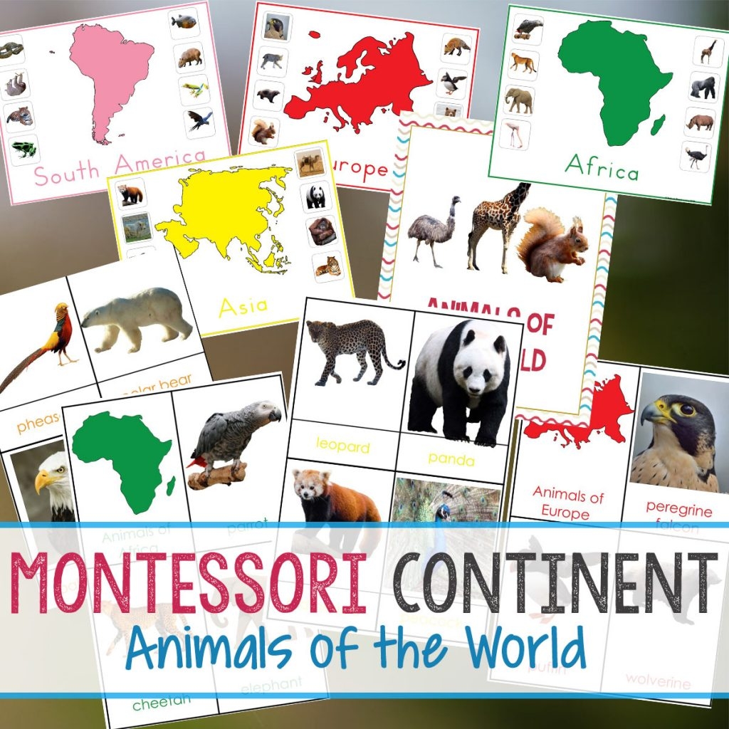 7 Continents Animals Printable Worksheets