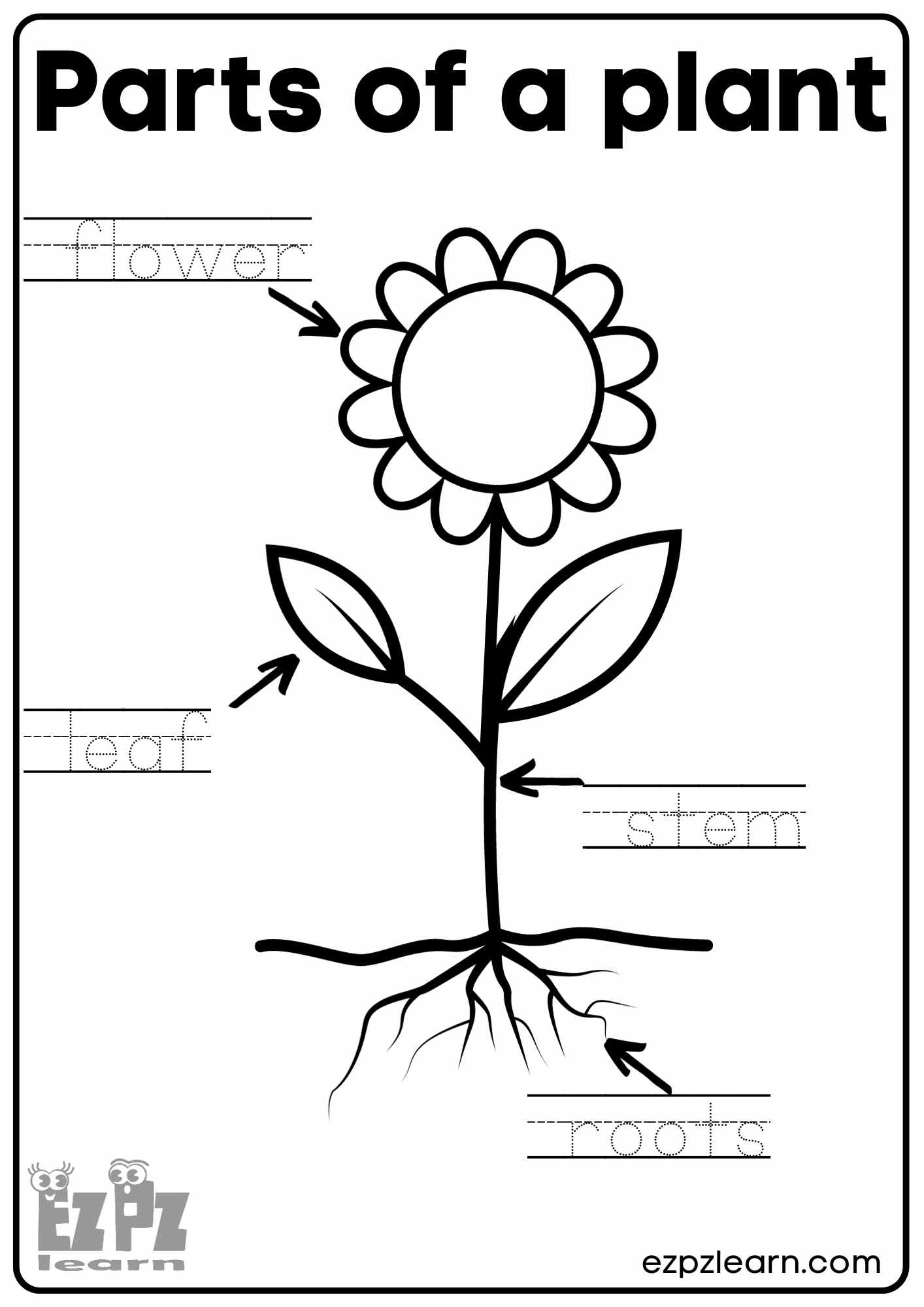 Flower Worksheets For Preschool Printable