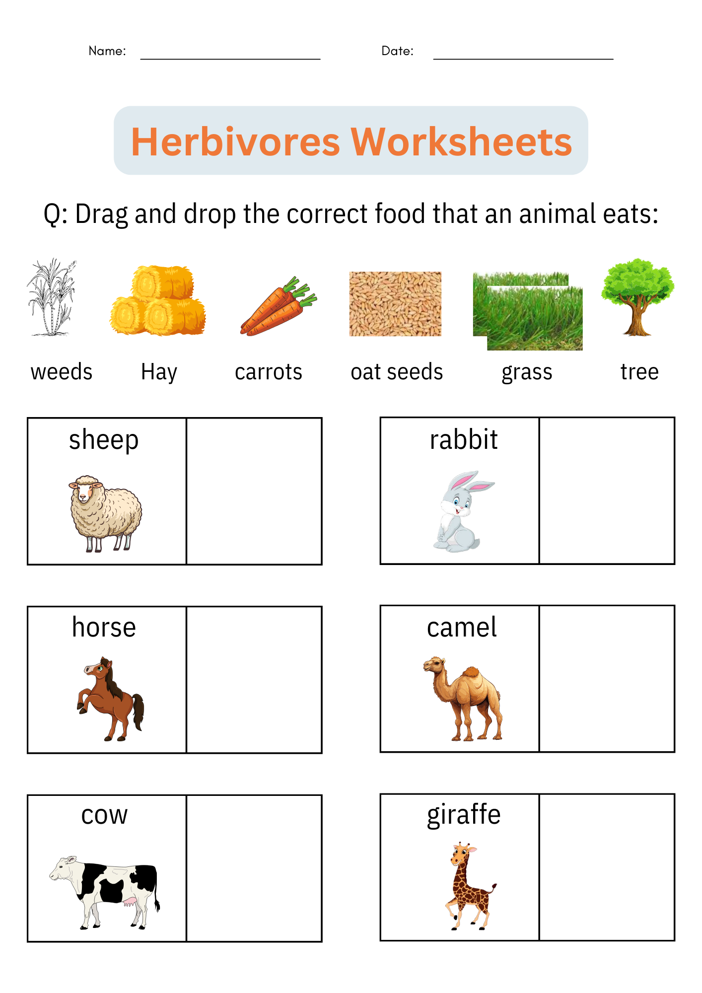 Catagoryies Printable Worksheets For Toddler