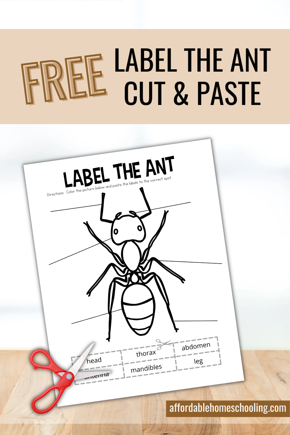 Ant Body Parts Worksheets Printable