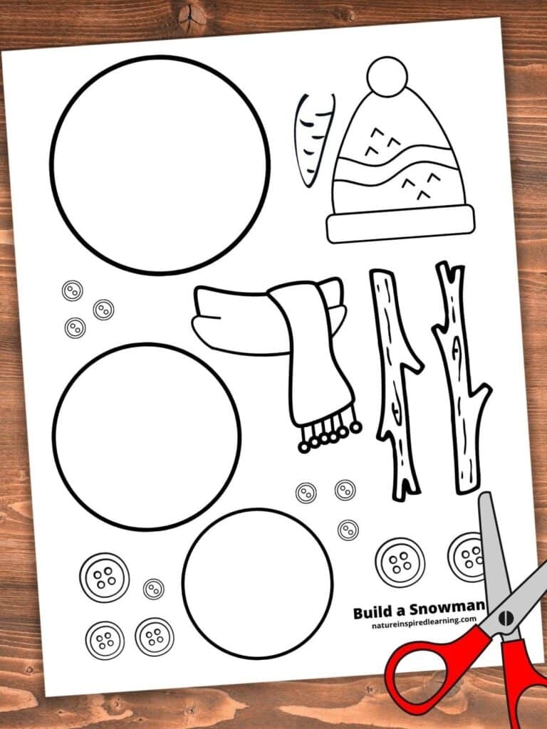 Build A Snowman Printable Worksheets
