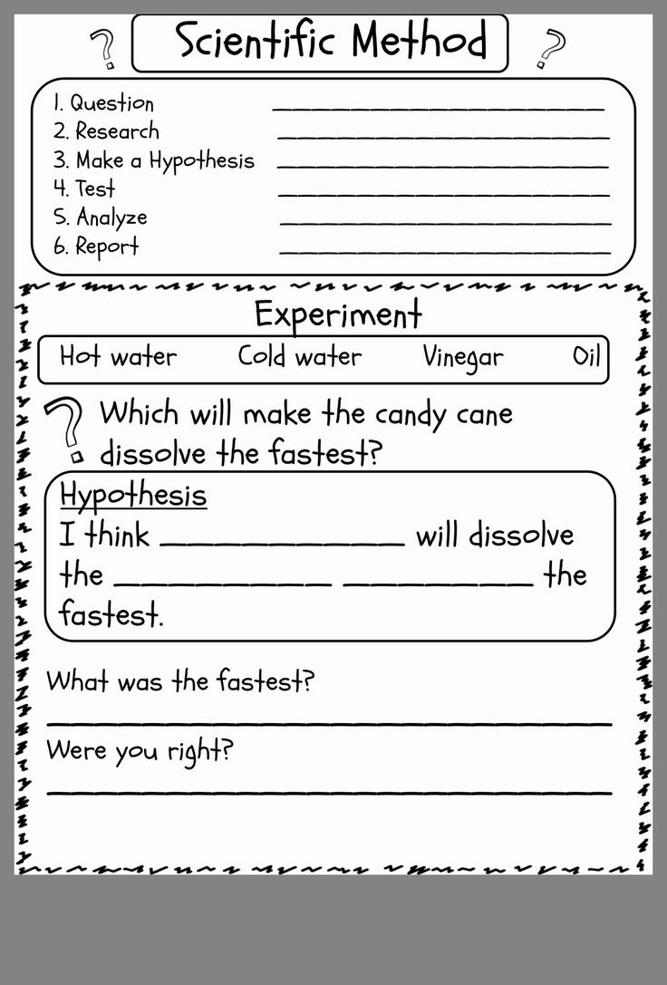 Science Worksheet For 1st Grade Best Of Scientific Method Experiment Worksheet