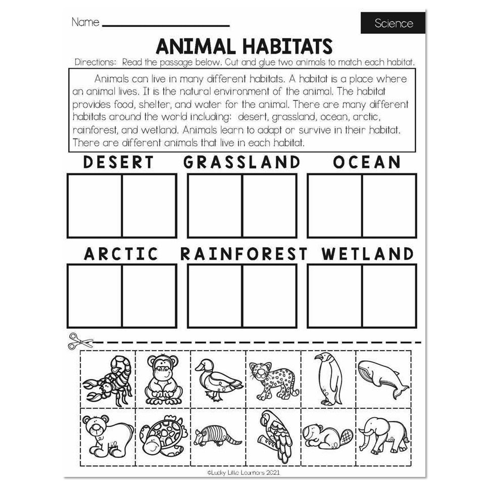 2Nd Grade Science Printable Worksheets